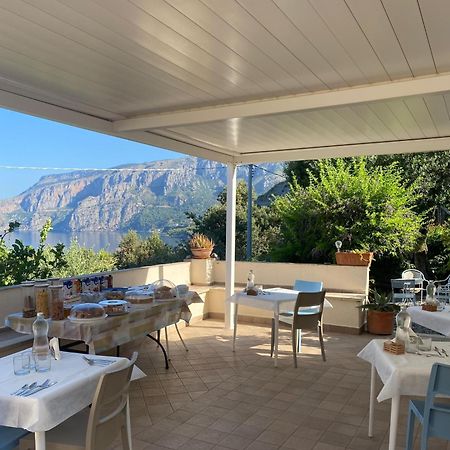 Villa Caterina Affittacamere Маратея Экстерьер фото